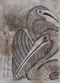 Pelicans #140