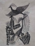 Birds from Lake Naivasha #93